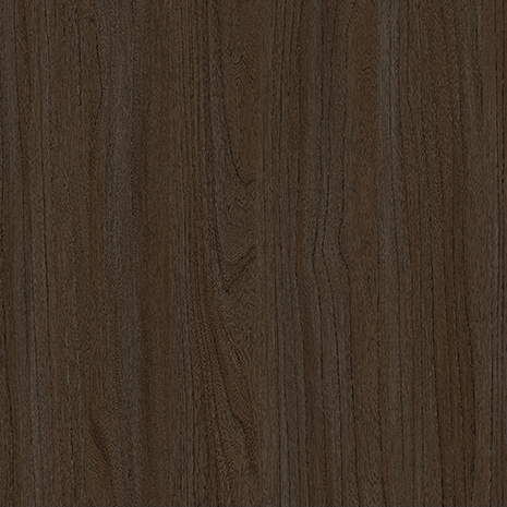 E11024 Ancient Fragrant Elm