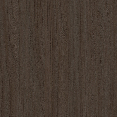 E11024 Ancient Fragrant Elm