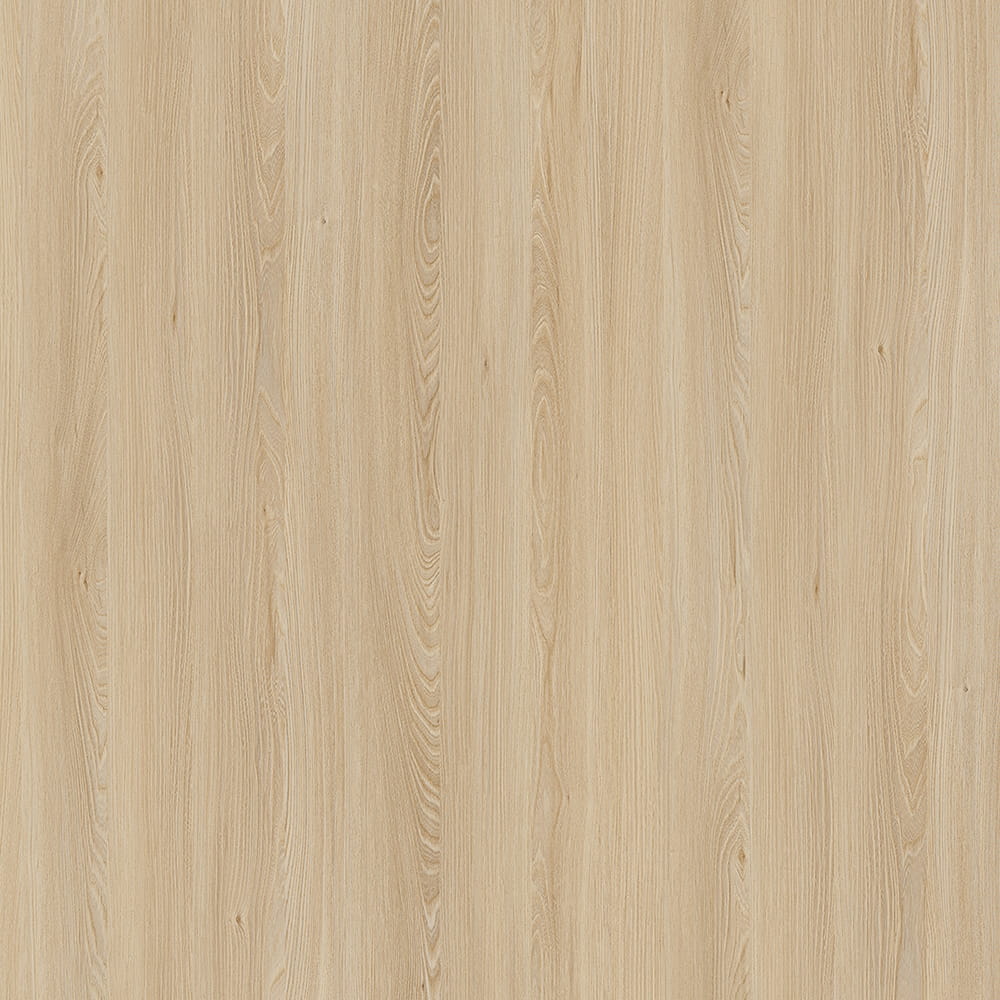 E11032 Kaukasus Elm