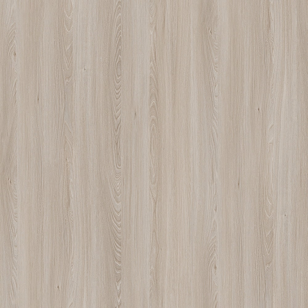 E11032 Kaukasus Elm
