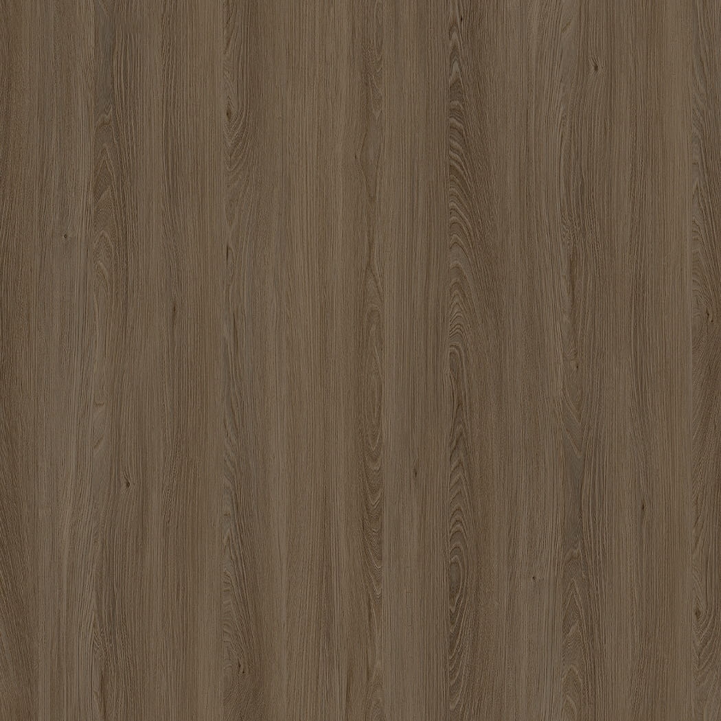 E11032 Kaukasus Elm