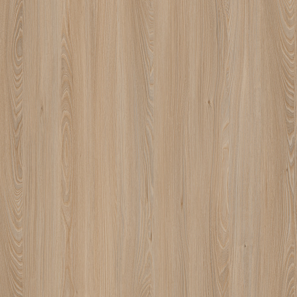E11032 Kaukasus Elm