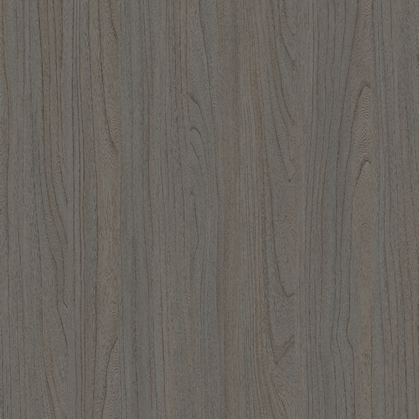 E11024 Ancient Fragrant Elm